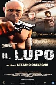 watch Il Lupo