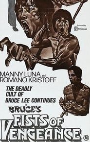 Image Bruce's Fists Of Vengeance 1980