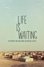 Image Life Is Waiting: Referendum and Resistance in Western Sahara