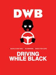 Driving While Black-hd
