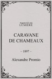 Caravane de chameaux series tv