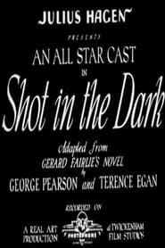 A Shot in the Dark (1933)