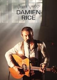 Image Other Voices : Damien Rice 2014