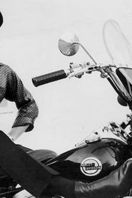 Harley-Davidson: The American Motorcycle-hd