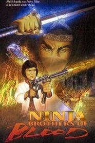Ninja Knight: Brothers of Blood 1988 streaming