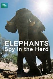 Elephants: Spy in the Herd series tv