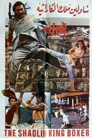 鐵拳 (1979)