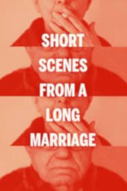 Short Scenes from a Long Marriage series tv