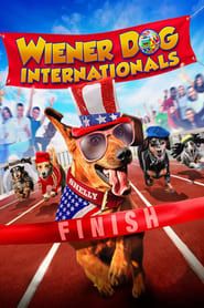 Wiener Dog Internationals series tv