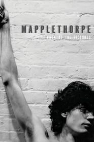 Mapplethorpe: Look at the Pictures 2016 streaming