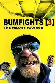 Bumfights Vol. 3: The Felony Footage (2004)