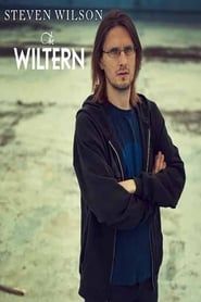 Steven Wilson Live at The Wiltern series tv