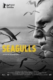 Image Seagulls