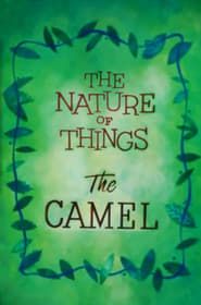 The Nature of Things: The Camel (1956)