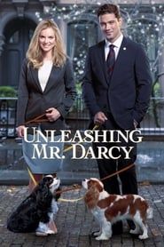 Unleashing Mr. Darcy series tv