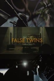 False Twins series tv