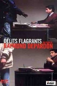 Délits flagrants (1994)