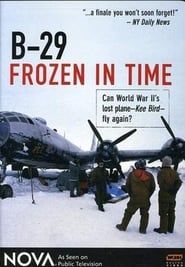 Image B-29 Frozen in Time 1996