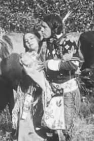 Image The Cheyenne's Bride