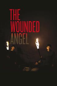 The Wounded Angel series tv