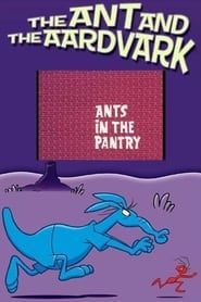 Ants in the Pantry-hd