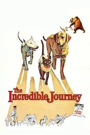 The Incredible Journey series tv