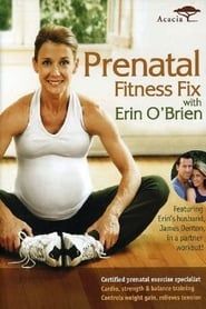 Prenatal Fitness Fix with Erin O'Brien series tv