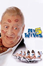 My 5 Wives series tv