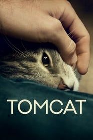 Tomcat series tv
