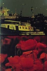 Poppies and Sailboats (2001)