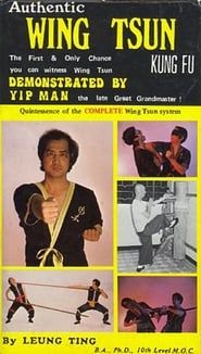 Authentic Wing Tsun Kung Fu: Demonstrated By Yip Man series tv