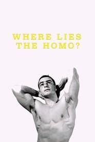 Where Lies the Homo? series tv