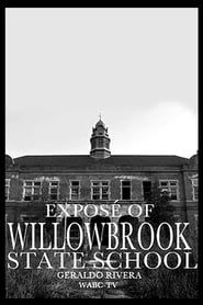 watch Willowbrook: The Last Great Disgrace
