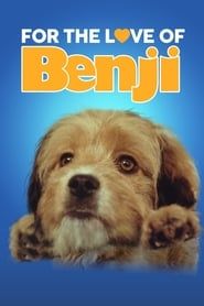 For the Love of Benji 1977 streaming