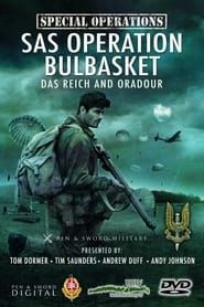 SAS Operation Bulbasket: Part 1 - Das Reich and Oradour 2012 streaming