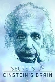Image Secrets of Einstein's Brain