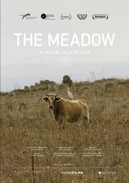 The Meadow series tv