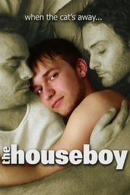 The Houseboy series tv
