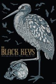 The Black Keys: Live At Austin City Limits series tv