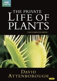 Image The Private Life of Plants 1995