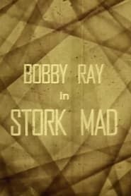 Stork Mad (1926)