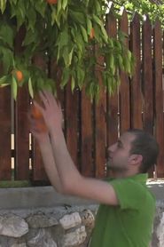 Oranges (2009)