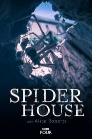 Spider House series tv