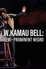 W. Kamau Bell: Semi-Prominent Negro 2016 streaming