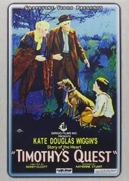 Timothy's Quest (1922)