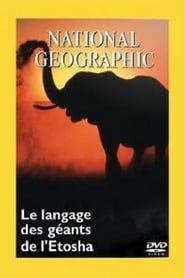 Image National Geographic : Le Langage des Géants d'Etosha