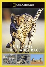 National Geographic : Guépard, la course pour la vie