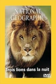 National Geographic : Trois lions dans la nuit (1993)