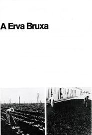 A Erva Bruxa (1970)