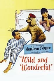 Wild and Wonderful (1964)